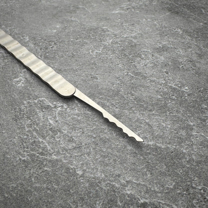 "The Next Level" Upgraded Lockpicks (Single)