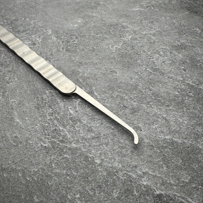 "The Next Level" Upgraded Lockpicks (Single)